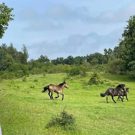 בית נופש 7 Person In Knebel-by Traum *