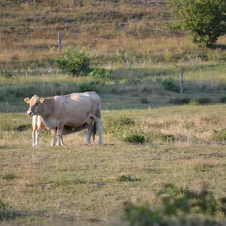7 Person In Knebel-by Traum בית נופש Knebel