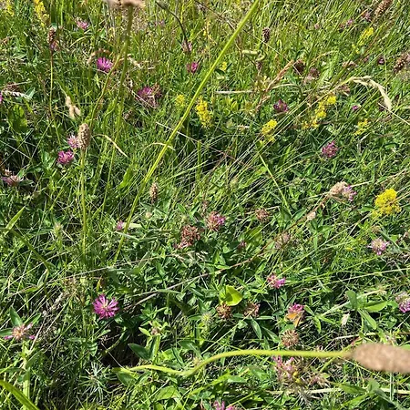 7 Person In Knebel-by Traum Knebel